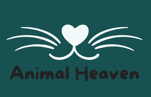 Animal Heaven